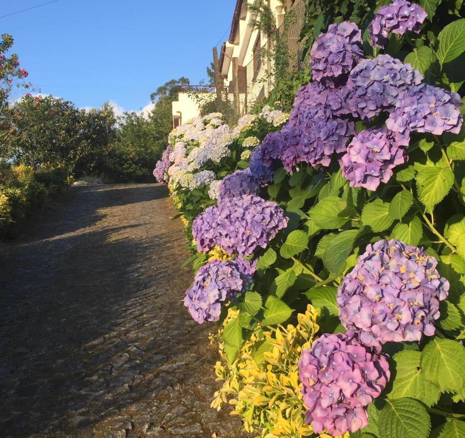 Villa Bouro - Breathtaking Scenery Near Geres 테라스 드 부로 외부 사진